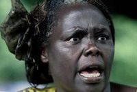 нобелевскую премию мира получила вангари маатаи из кении