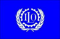международная организация труда (мот)
